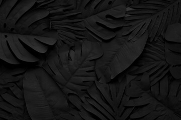 Wall Mural - tropical leaf,leaves collection for design with dark color.creative and minimal art nature background.decoration pattern