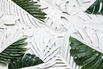Wall Mural - tropical leaf,leaves collection for design with pastel and mix spotted color.creative and minimal art nature background.decoration pattern