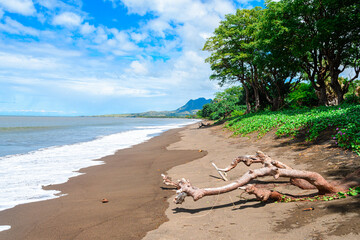 Wall Mural - panoramic view of flores island, indonesia