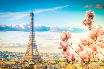 Wall Mural - eiffel tour and paris cityscape