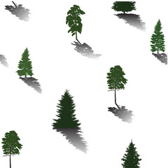 Sticker - pine and fir trees with shadows isolated on white