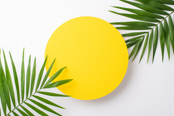 above top view photo of empty yellow circle for advertising or branding surrounded with green palm l