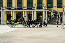 Horse Carriage In The Street, Schonbrunn Palace City