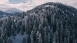 Luftaufnahmen von den schweizer Alpen im Winter