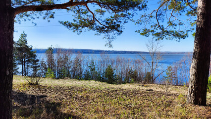 Wall Mural - Landscape with trees and water of river or lake in background on summer spring or summer sunny day. Landscape of river bank and shore with tree trunk and clear sky. Beautiful natural nature