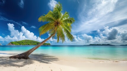 Poster - Tropical beach with palm tree white sand and turquoise water, generative  ai