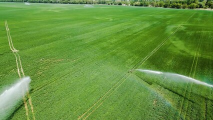 Wall Mural - Rain Gun Sprinklers Irrigation System