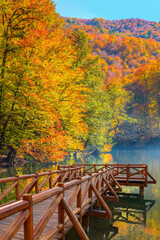 Poster - Autumn forest landscape reflection on the water with wooden pier - Autumn landscape in (seven lakes) Yedigoller Park Bolu, Turkey