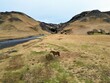 konie islandzkie, islandia