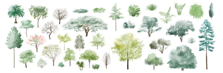 trees set watercolor illustration, hand drawn for architecture or decorative
