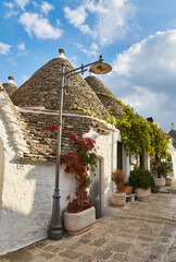 Canvas Print - Alberobello, Puglia, Italy: Cityscape over the traditional roofs of the Trulli