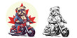A bulldog riding a motorcycle in canadaday.Illustration of T-shirt design graphic.	