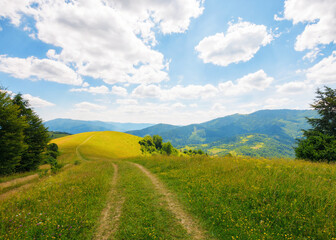 Wall Mural - trail through rural fields and meadows on the hills. carpathian countryside in summer with mountain 