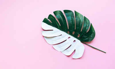 Wall Mural - tropical leaf,leaves collection for design with pastel and mix spotted color.creative and minimal art nature background.decoration pattern
