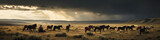 Fototapeta Konie - A wild steppe unveiled by the wind, with horses running free under a stormy sky creating a breathtaking dramatic landscape. Generative AI