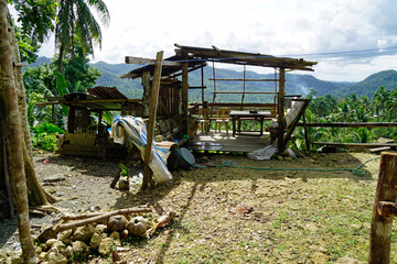 Wall Mural - rice fields on bohol islnd at the philippines