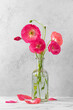 Pink poppy flowers bouquet in glass vase on gray background. Wedding card with copy space. Vertical orientation