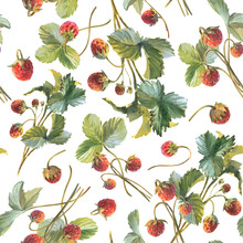 Strawberry Seamless Pattern With Watercolor Illustrations Of Berries, Leaves. Strawberries, Berries, Strawberry Flavor Illustration.