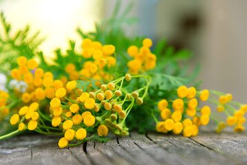 Sticker - Minimal floral frame made of yellow tansy flowers on a wooden background. Village theme in nature. Blank greeting card, invitation and envelope mockup.	