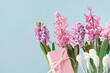 Pink hyacinth spring flowers close up with part of pink gift box on blue background. Flowerheads in bloom. Mothers Day birthday Easter or holiday sale. Thank you banner
