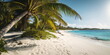 Tropischer Palmenstrand mit Blick aufs Meer blauer Himmel und Sonnenschein Hintergrund Bild - mit KI erstellt 
