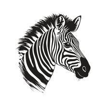 Zebra, Vintage Logo Line Art Concept Black And White Color, Hand Drawn Illustration