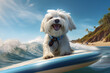 Sunglassed Surfer Delight: Maltese Dog Catches Waves of Happiness - Generative AI