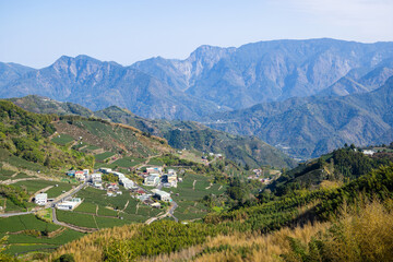 Sticker - Lots of tea field over the mountain in Alishan of Shizhuo in Taiwan