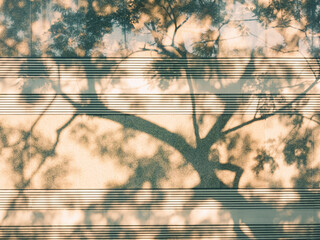 Poster - Tree branch and leaves Shadow on wall daylight Nature background