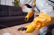 uniform kill termite insect exterminator sofa control pesticide cockroach pest. Generative AI.