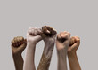 © master1305 - Hands of different people, of diverse race, skin color, gender raising fists up over grey background. Human rights and equality. Concept of human relation, community, togetherness, symbolism, culture