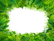 Cartoon Jungle Frame. Rainforest Plants, Heaven Or Eden Garden, Tropical Forest Flora Vector Background. Vacation Hawaii Travel, Summer Paradise And Clean Environment Frame With Leaves And Lianas