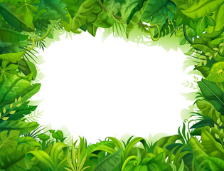 Poster - Cartoon jungle frame. Rainforest plants, heaven or eden garden, tropical forest flora vector background. Vacation Hawaii travel, summer paradise and clean environment frame with leaves and lianas