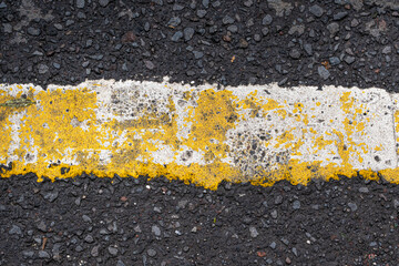 Wall Mural - Black pavement with painted line texture