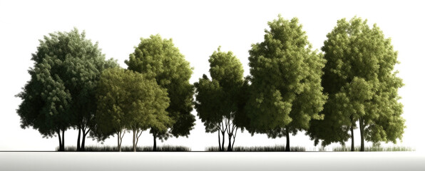 illustration of trees on transparent background, for illustration, digital composition, and architecture visualization. generative ai