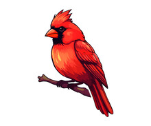 Red Cardinal On Tree Branch, Red Cardinal Logo, Red Cardinal Sticker