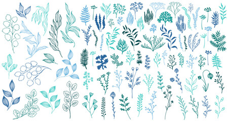 Wall Mural - Meadow flowers, tree branches, algae water plants, corals isolated on white. Seaweeds polyps silhouettes set. Branches berries twigs flowers. Seaweeds coral reef underwater plans vector teal set.