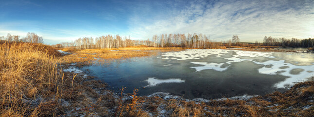 Sticker - rural landscape with frosted ground and bared tree