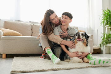 Young and carefree same sex couple in socks hugging and petting furry Australian shepherd dog resting on carpet on floor in modern living room at home