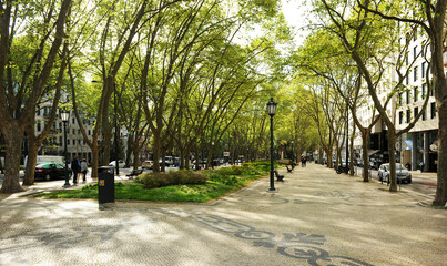 Promenade under trees in Avenida da Liberdade (Liberty Avenue) Lisbon, Portugal
