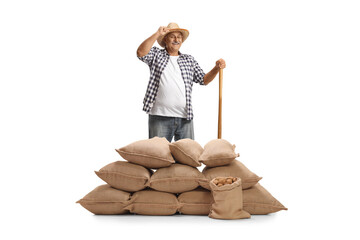 Sticker - Smiling farmer with a wooden tool standing behind burlap sacks with potatoes