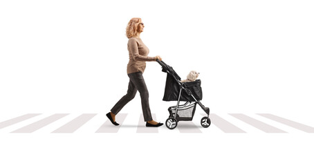 Sticker - Profile shot of a mature woman crossing a street with a dog stroller