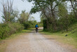 ciclista cavalca nel sentiero nel bosco