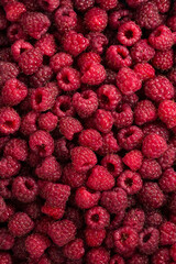 Wall Mural - Raw raspberies