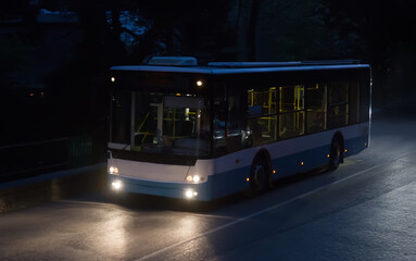 Wall Mural - bus moves on a night road