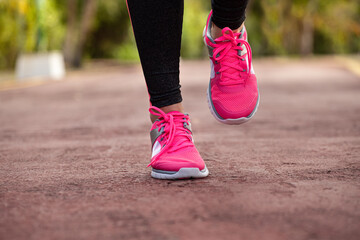 Wall Mural - fitness woman training and jogging in summer park, close up on running shoes in sunlight. healthy li