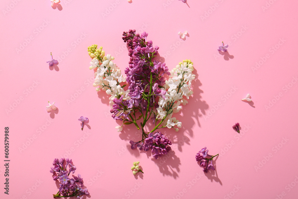 Blooming lilac flowers on pink background