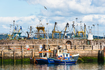 Wall Mural - Brixham Harbour, Brixham, Devon, England