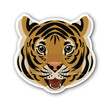 © Taylor - tiger head vector