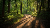 Fototapeta Las - Walking on the dirt road, surrounded by vibrant nature beauty generated by AI